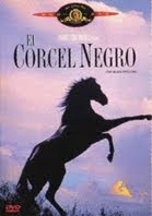 Ver El Corcel Negro 1979 Online Gratis