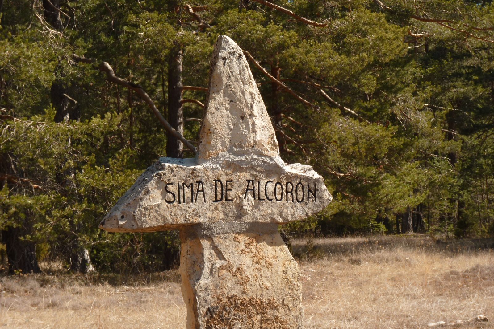 davidmalabarista 2.0 SIMA DE ALCORON