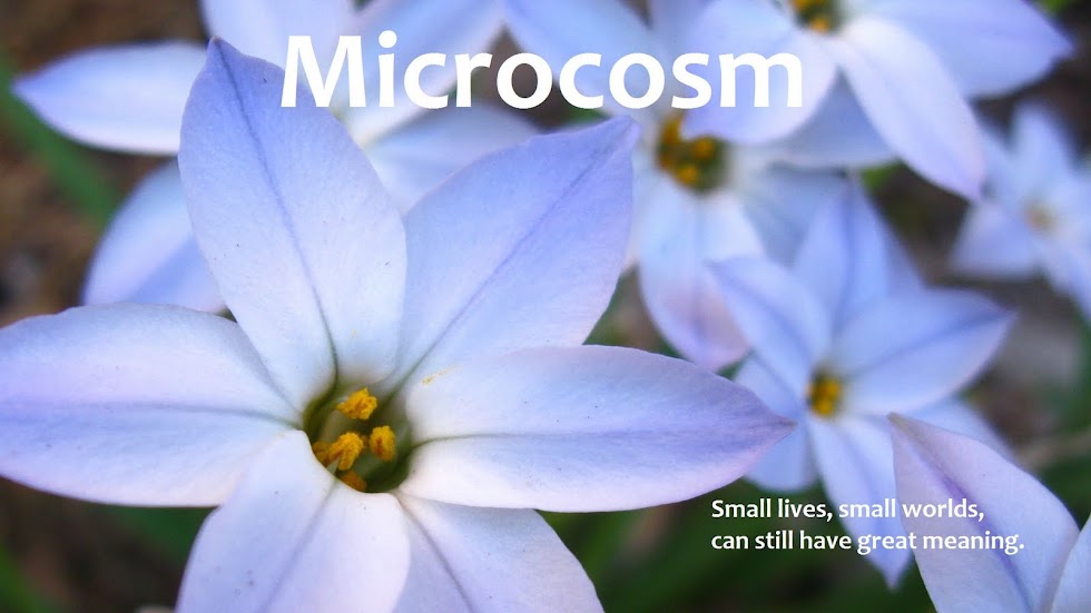 Microcosm