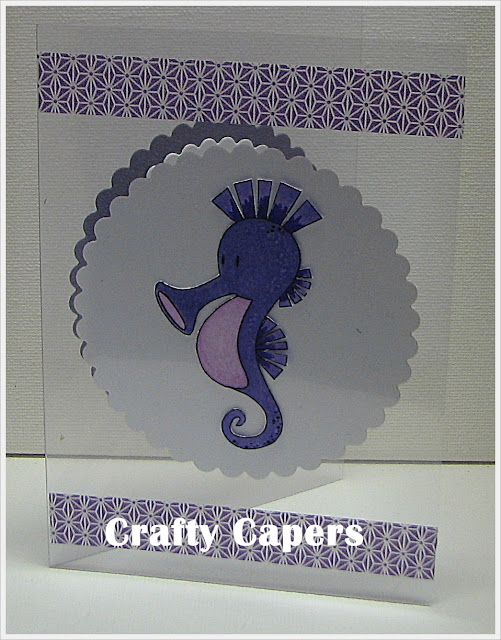 Crafty Capers Spectrum Noir