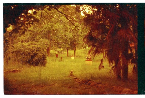 Mustolina - Green Land Mustolina - Green Land
