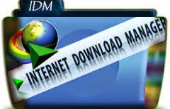 IDM Internet Download Manager 6.20 Build 2 Serial Keys Free Download