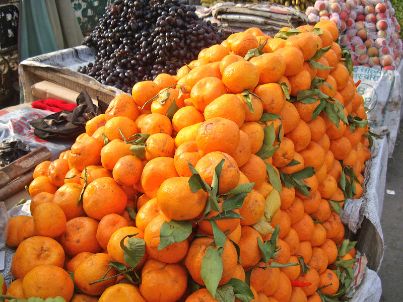 Taste of Nepal Lists of most common fruits of Nepal (NepaliEnglish)