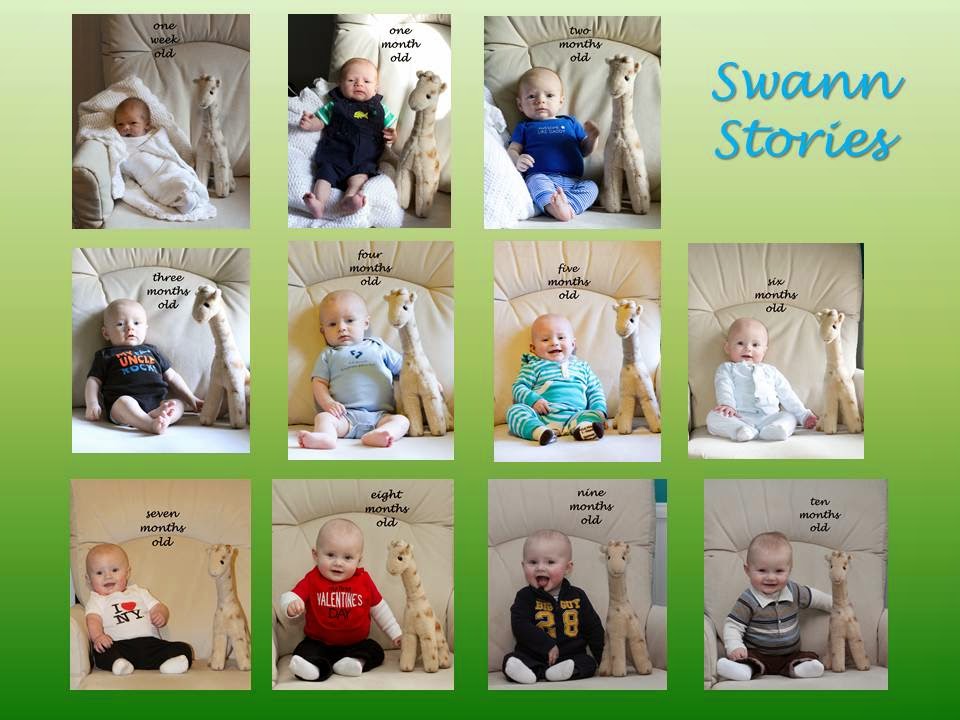 Swann Stories