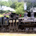 The Shay drive design of gear driven steam locomotive