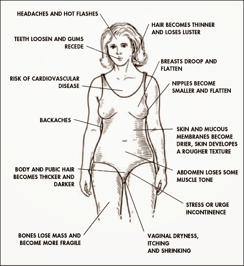 pre menopause health problem treatment chennai