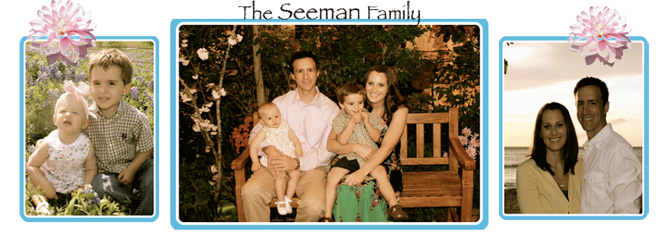 the seeman family