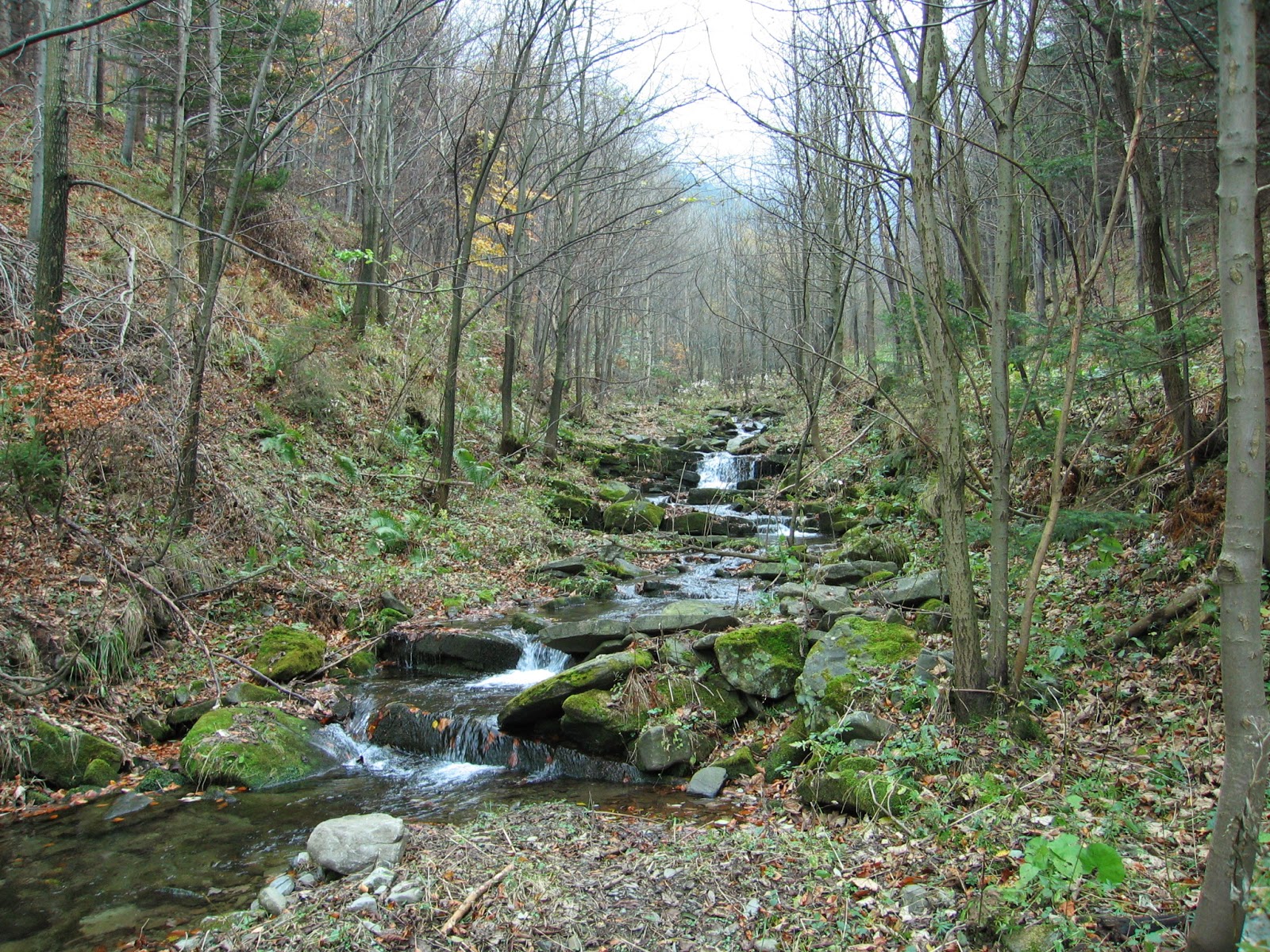 CZECH RIVERS The contemporary research of headwater streams in the
