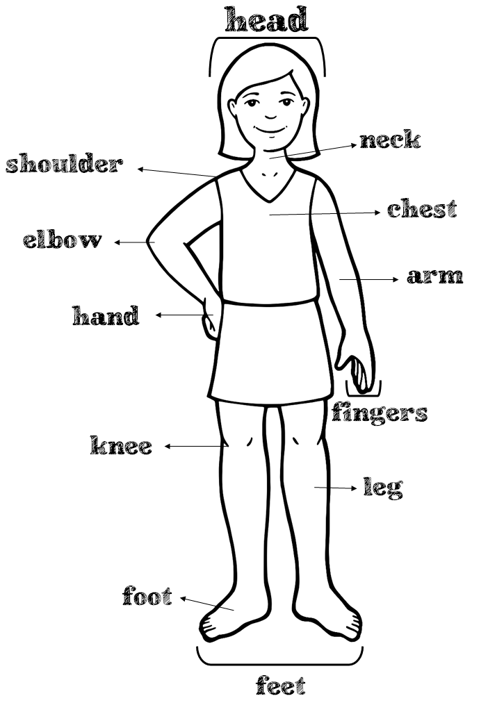 Teachermina: parts of the body