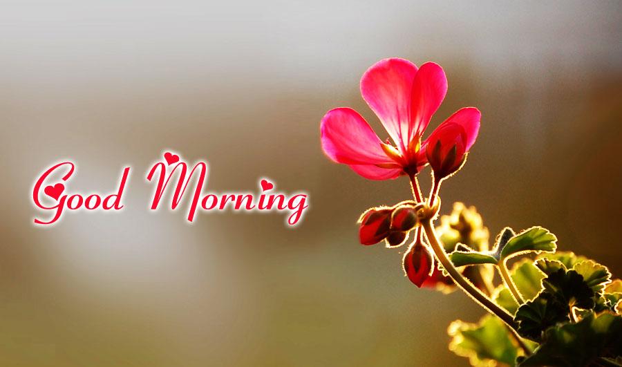 Top 5 Good Morning Facebook Cover Photos Download HD Wallpapers