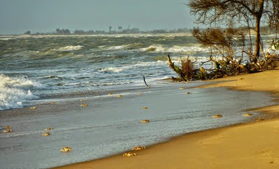 Kalpitiya au Sri Lanka