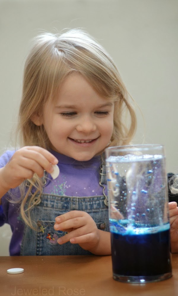How to Make a Lava Lamp Growing A Jeweled Rose