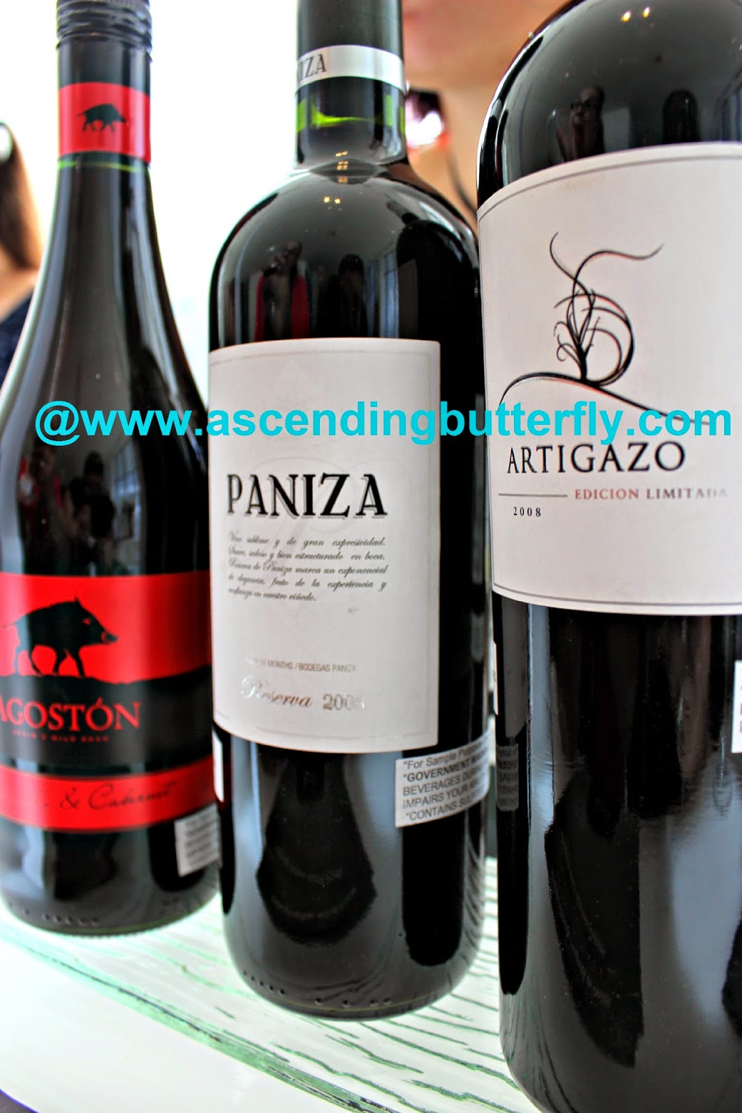 Agoston, Paniza, artigazo, Wines from Spain