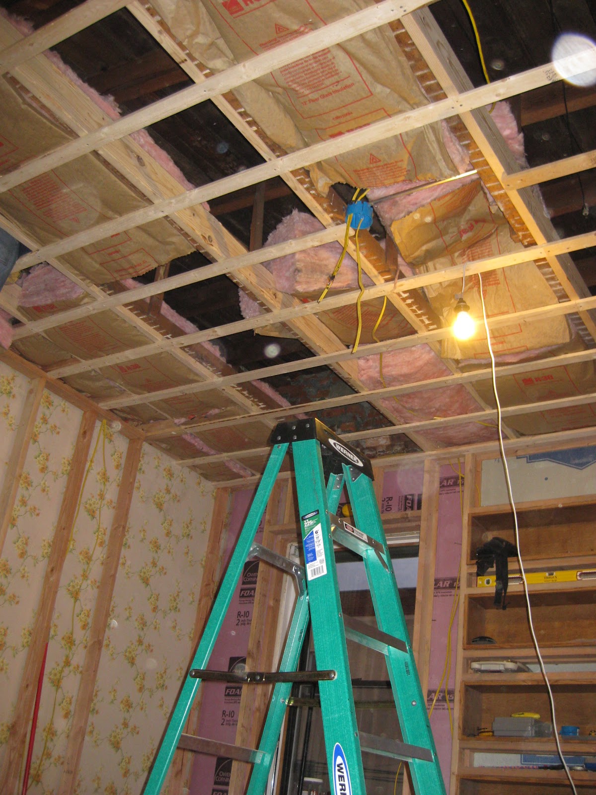 Occupy Wolf Street December 2011