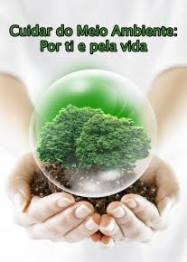 TEIA AMBIENTAL 2011