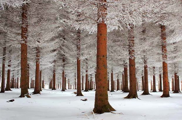 Fotografías paisajes invernales