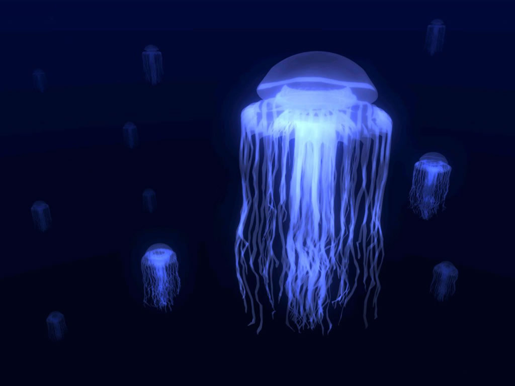 RunningShield Jelly Fish
