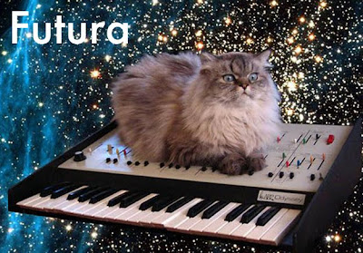 Cats and Fonts - Funny Pics