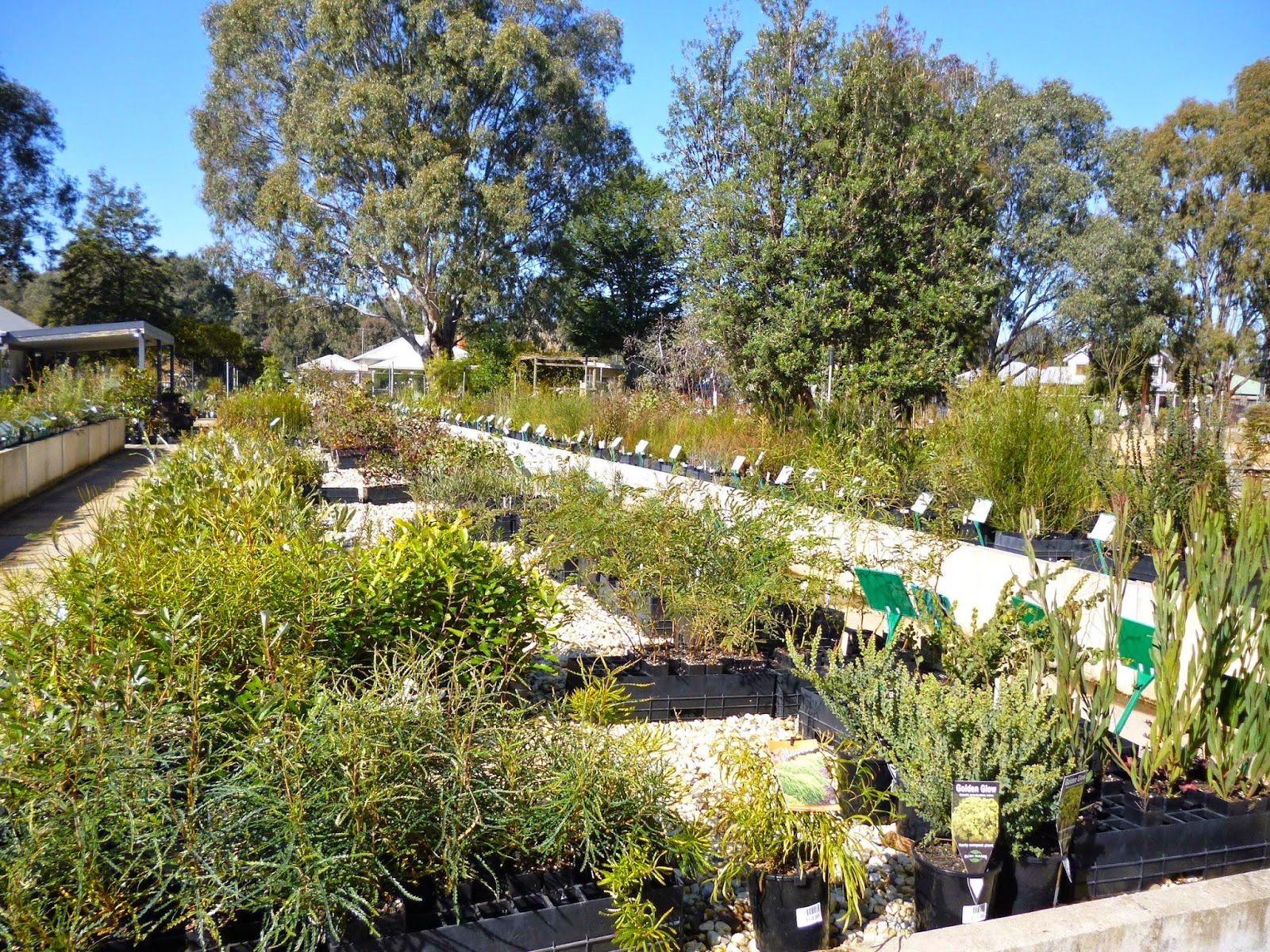 Wangaratta Sustainabililty Network Sustainable House Day