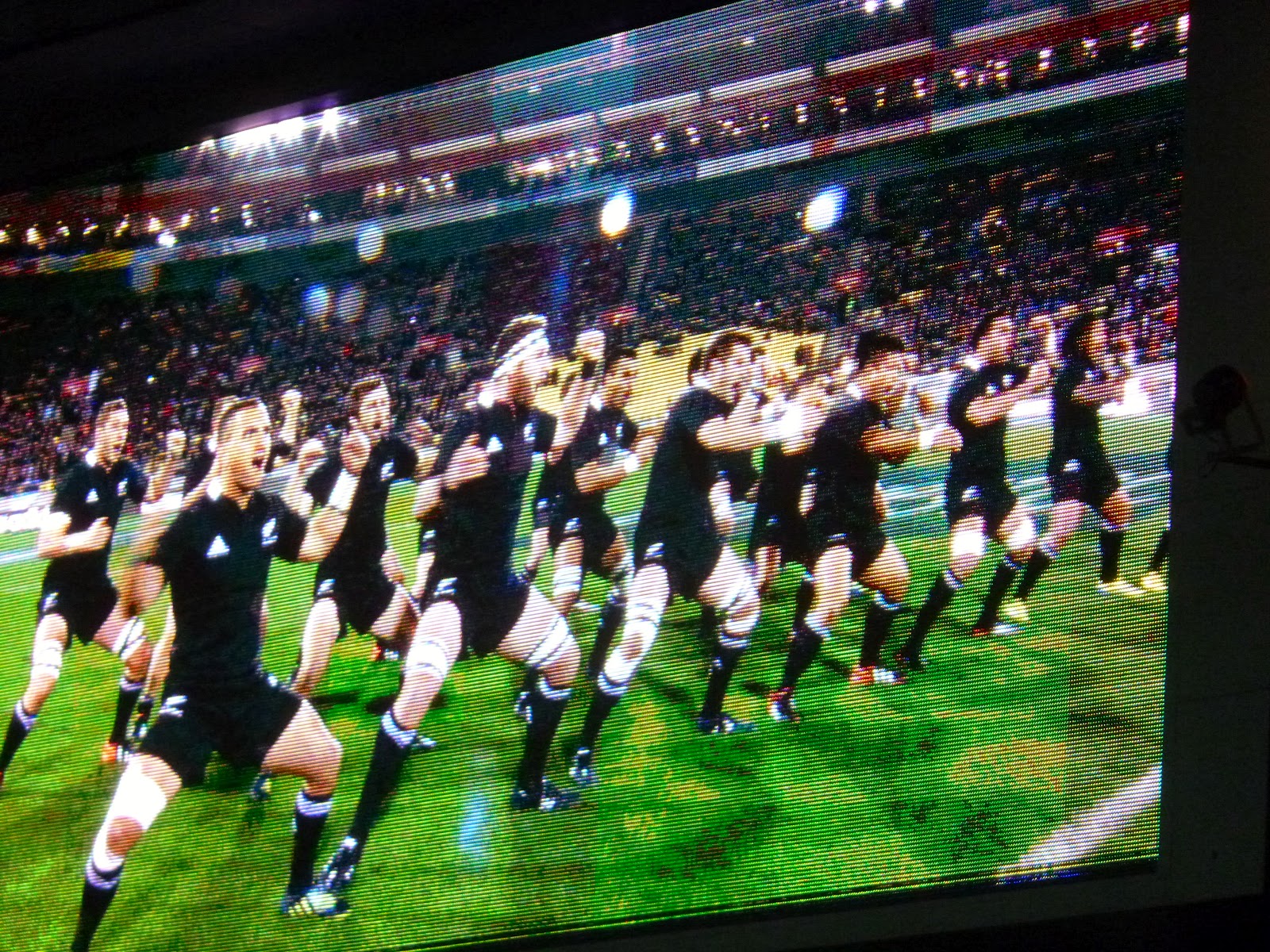Our New Zealand Adventures ALLBLACKS RUGBY GAME