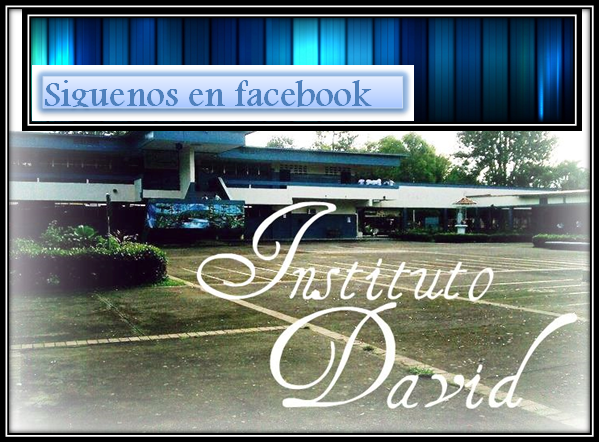 Facebook del Instituto David