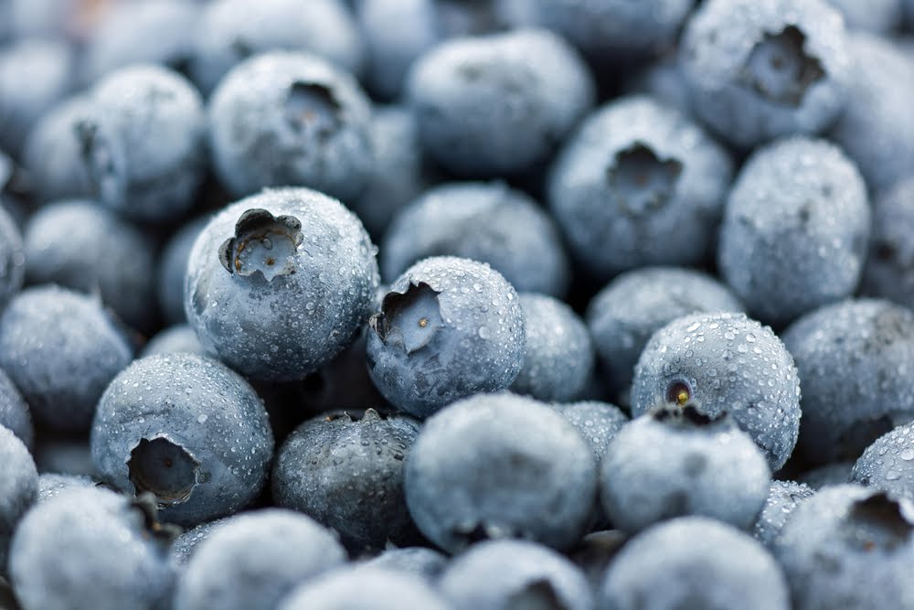 The Skinny HEALTHeME's Official Blog Blueberries & Weight Loss