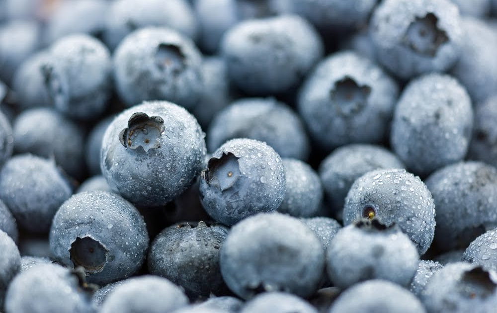 The Skinny HEALTHeME's Official Blog Blueberries & Weight Loss
