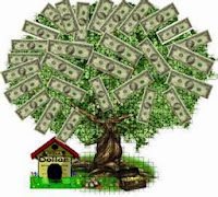 COMMERCIAL LOANS AND FINANCING
