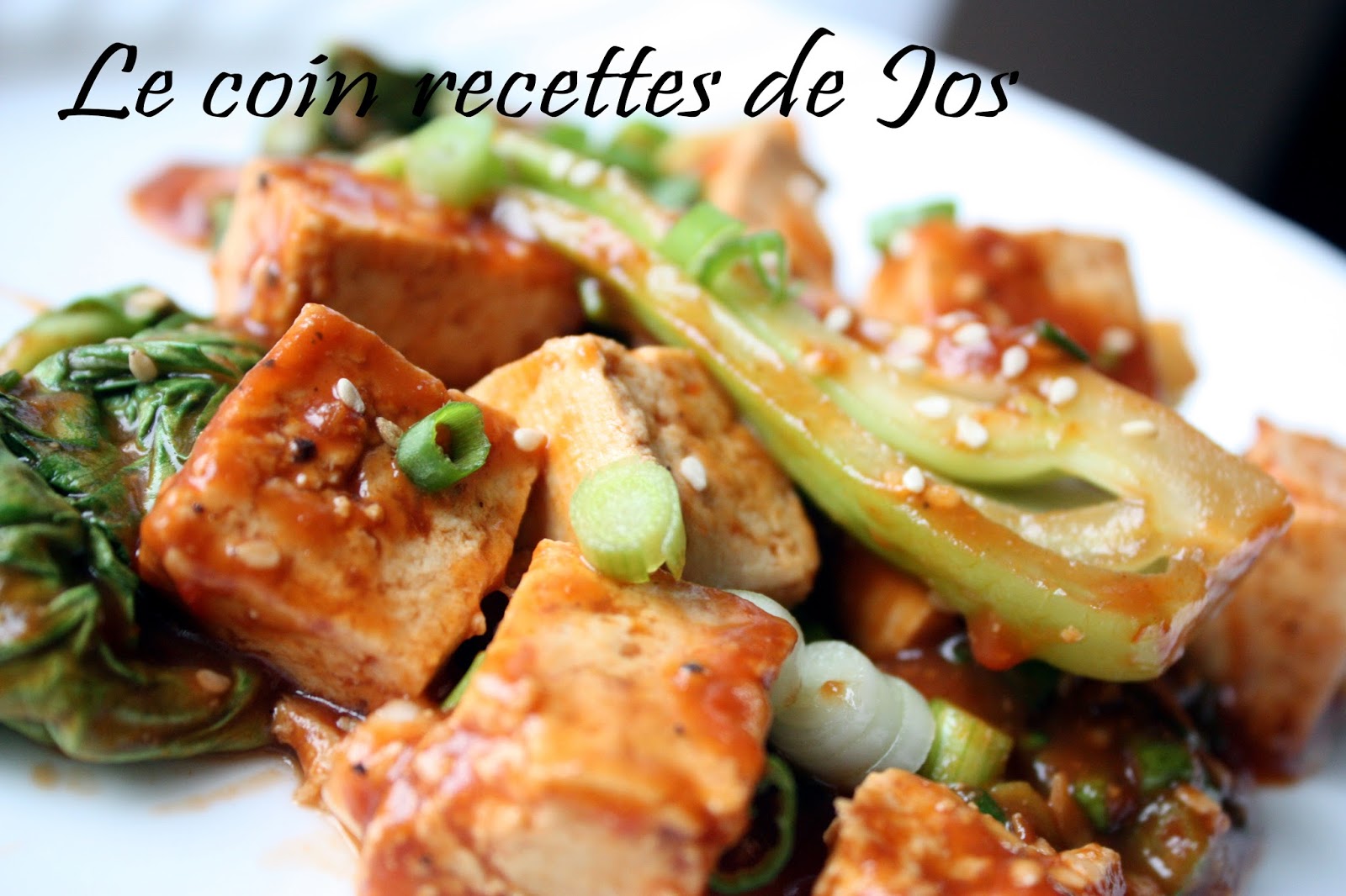 Le coin recettes de Jos ULTIMATE TOFU BBQ