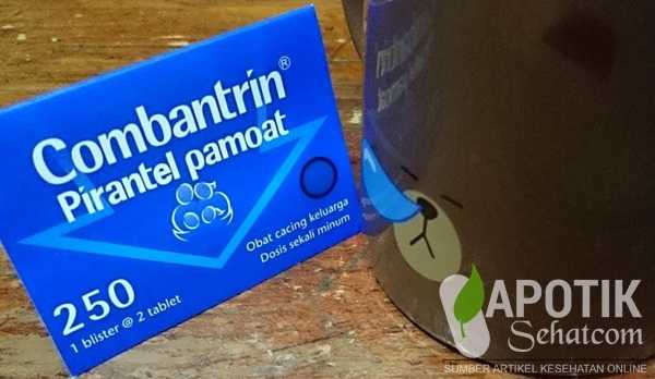 Obat Cacing Di Apotik Obat Cacing Di Apotik