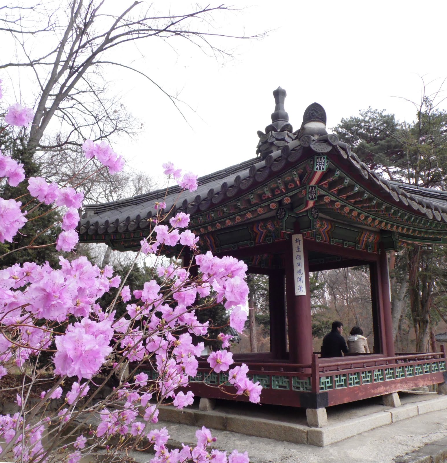 Changdeokgung Palace Secret Garden