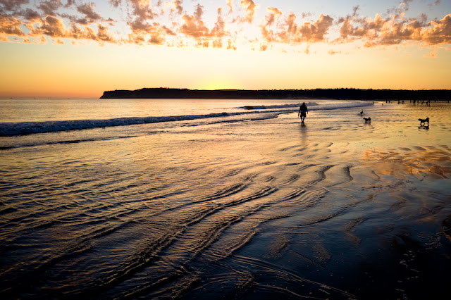 coronado beach