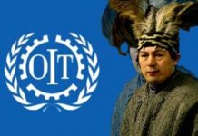 Nación Mapuche. Qué es el Convenio 169 de la OIT al que apelan los mapuche y por qué complica tanto