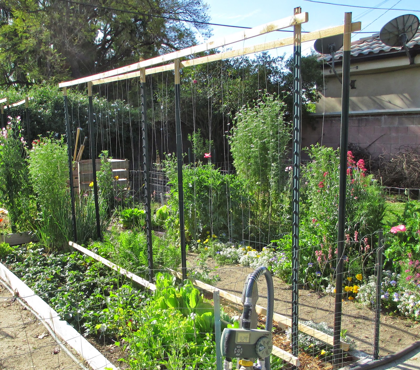 Andie's Way Trellis Ideas for Tomatoes, Cucumbers, Beans, Peas, Melons