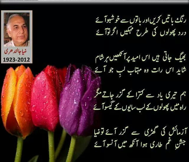 Poetry Romantic & Lovely , Urdu Shayari Ghazals Baby Videos Photo Wallpapers & calendar 2017 ...