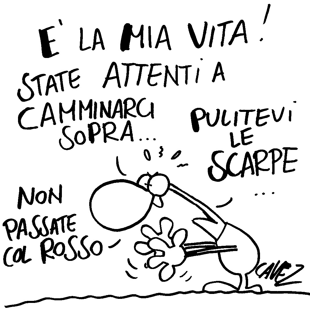 La Mia Vita In Poke Frasi