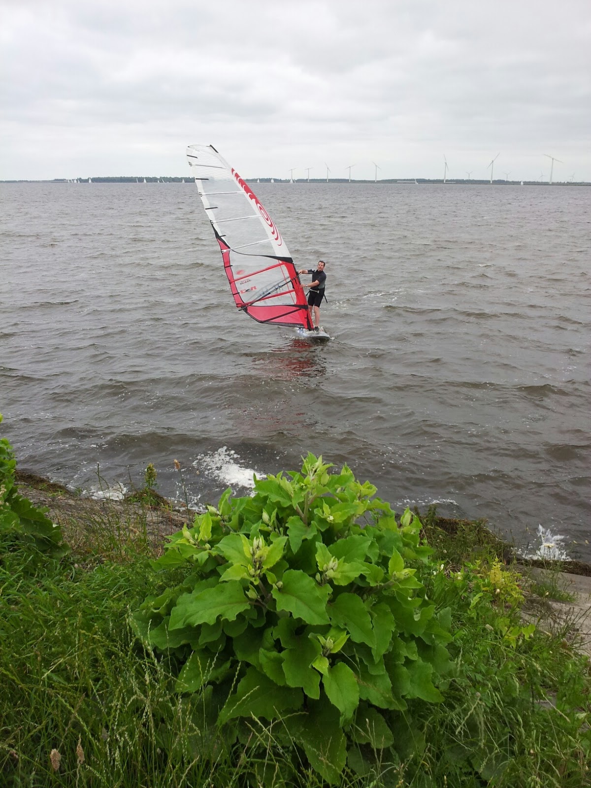 Edwin's Windsurfing Blog NEW Maui Ultra Fins Slalom Race fins 2013