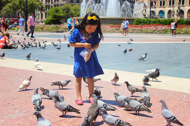 Pigeons| Plaza Catalonia | Barcelona | Chichi Mary Blog Pigeons| Plaza Catalonia | Barcelona | Chichi Mary Blog