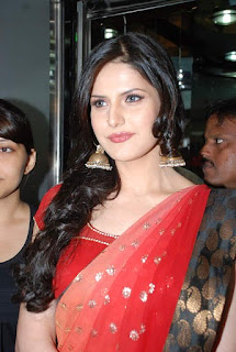 Zarine Khan Bollywood Actress, Zarine Khan Hot Photos, Zarine Khan Pics