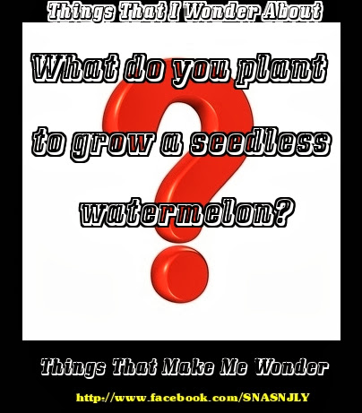Things that I wonder about like seedless watermelons