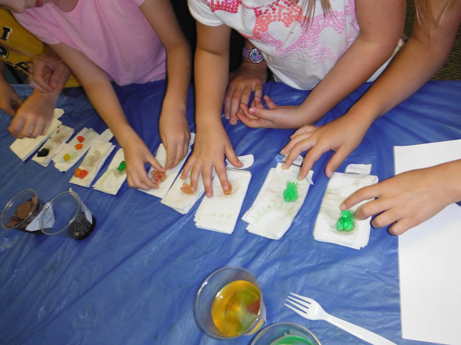 Science FREEBIE and Gummy Bear Results - SSSTeaching