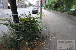 © hamburgize.com / Stefan Warda Kieler Straße / Brauerei - Benutzungspflichtiger Radweg