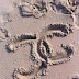 Random Chanel Item