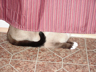 Monopoly Shower Curtain