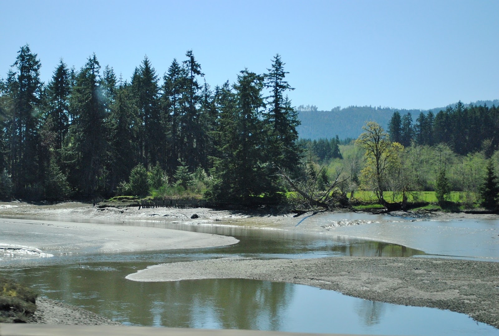 Aimee on the Mountainside Climbing Life's Mountain Hood Canal