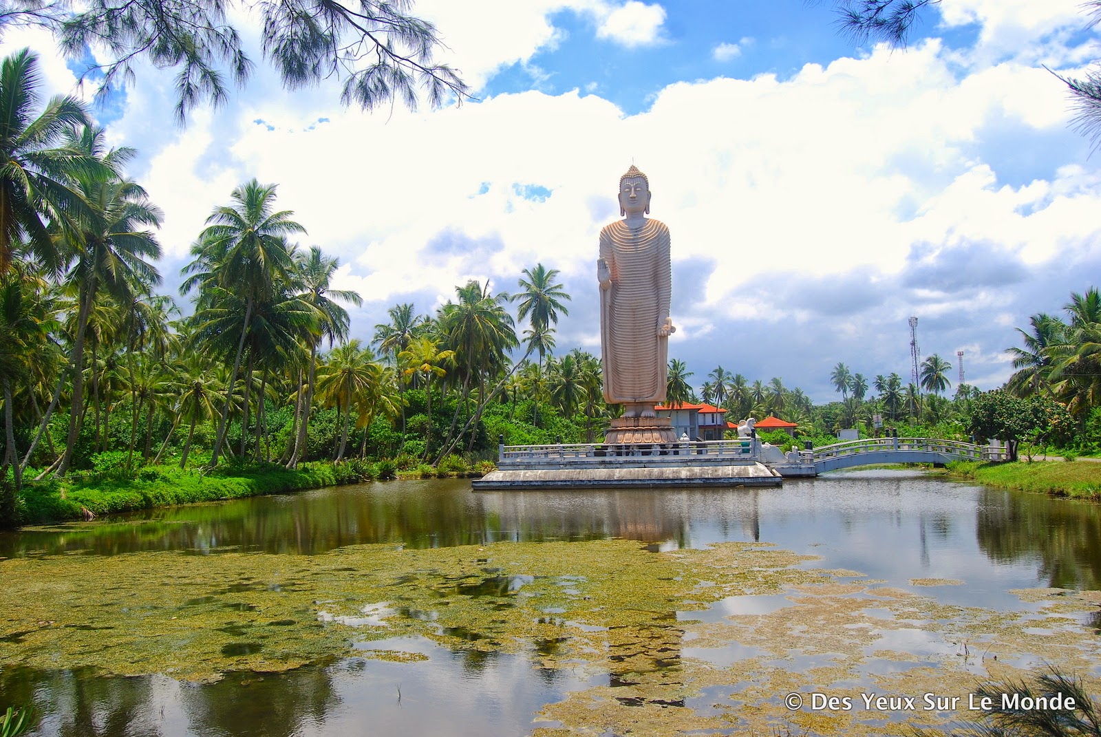 rencontres grandes tailles