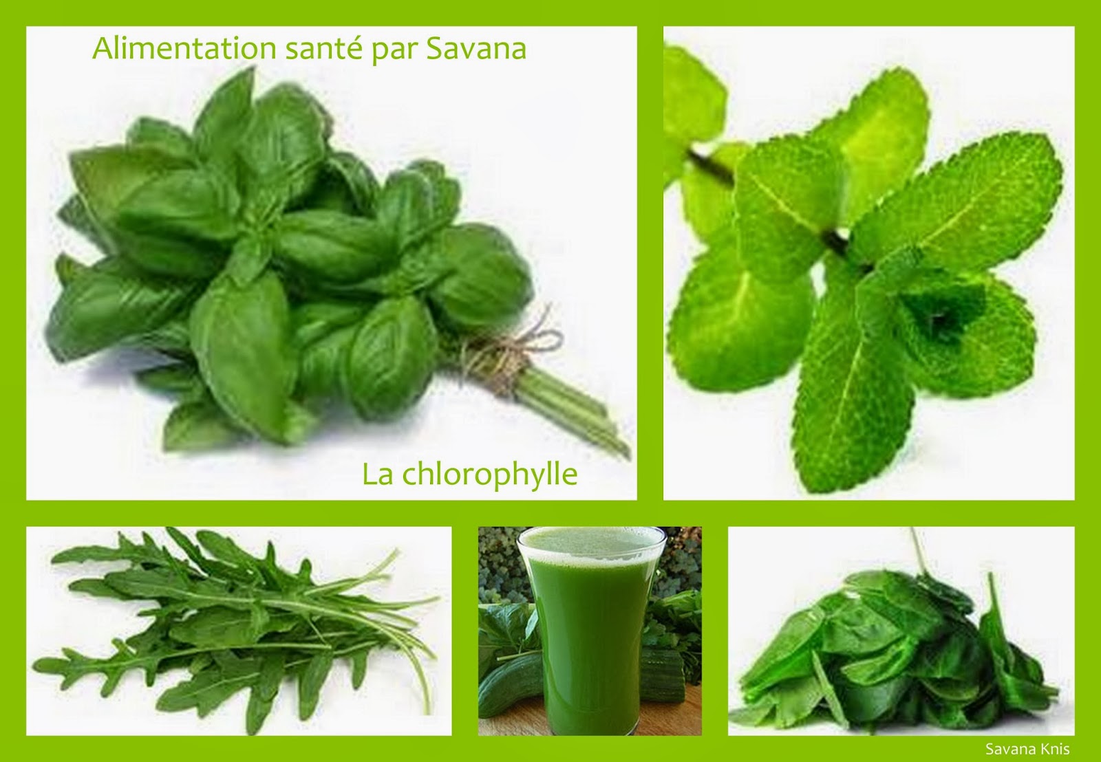 La chlorophylle et ses bienfaits
