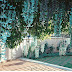 Nix Plantas Jardins Trepadeira Jade Este Presente Seu Nix Plantas Jardins Trepadeira Jade Este Presente Seu