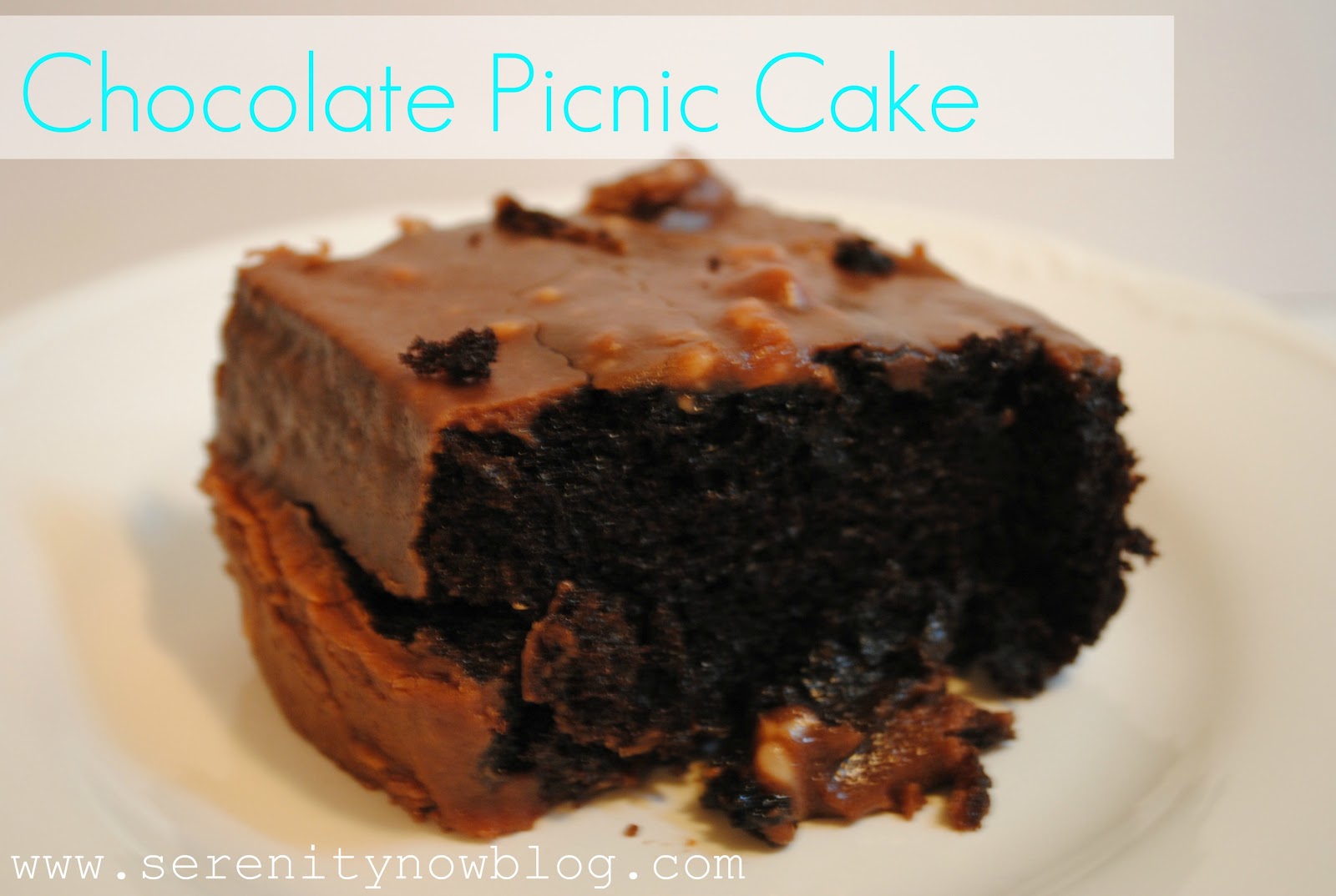 Serenity Now Chocolate Picnic Cake