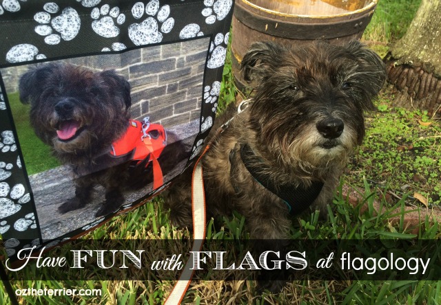 Oz the Terrier has fun creating custom garden flag at Flagology